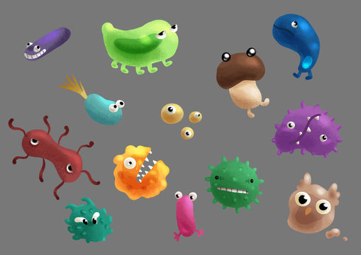 Several Microorganisms.
Concept art for the 2nd year film project, a short documentary about the travel of a pheromone from the guts to the brain.