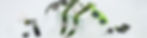 verschiedene Aditan Werbemittel-banner-newsletter-anmeldung-1920x400px.jpg