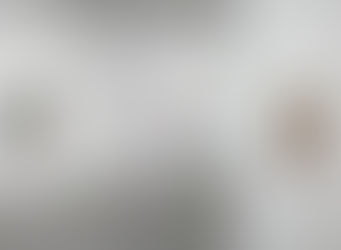 Press Release - Dee Shapiro Redrawn and Redressed