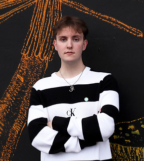 Sander valmis копия.jpg