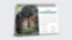 Thumbnail: Digital PDF 2026 Desk Calendar