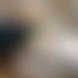 Scentsy Disney Tangled Collection