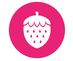 Scentsy Fruity Scent