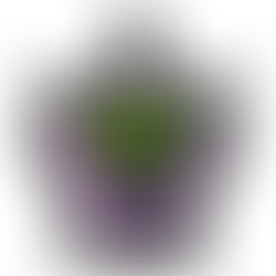 Scentsy Maleficent Warmer