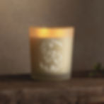 Scentsy Wicked Candles