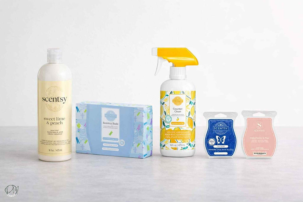 Scentsy January 2026 Whiff Box-Sneak Peek