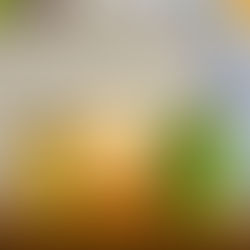 Scentsy March 2026 Warmer and Scent of the Month and the New Garden Collection