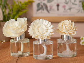 The Perfect Mother’s Day Gift: Scentsy’s 2026 Collection