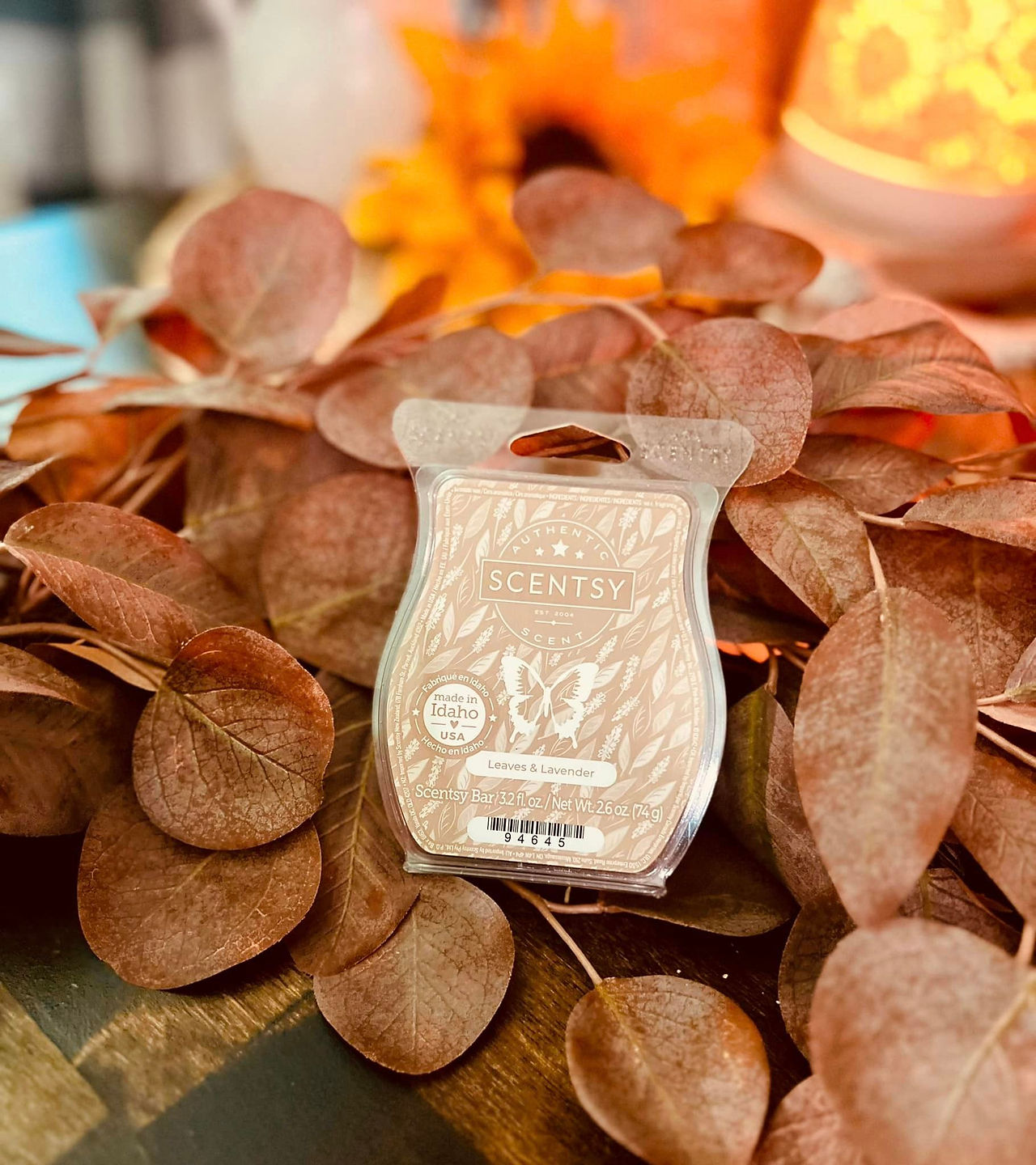 Scentsy Fall 2024 10 New Scents