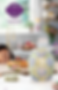 Scentsy Spring Summer Catalog of 2025