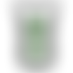 Scentsy December 2025 Warmer & Scent of the Month: