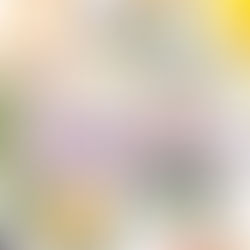 Scentsy Bring Back My Bar Voting- It’s almost time to cast your vote for Scentsy Bar!