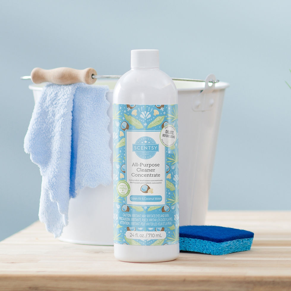 All Purpose Cleaner
