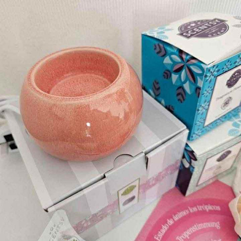 Scentsy July 2025 Whiff Box