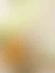 Scentsy Easter Collection 2025