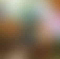 Scentsy Puddles & Petals Collection