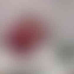 Scentsy Holiday 2024 Warmer Collection