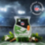 Scentsy NFL: Goal Line – Scentsy Bar: