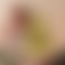 Scentsy November 2025 Warmer & Scent of the Month: Light Up the Season & Cocoa Cashmere.