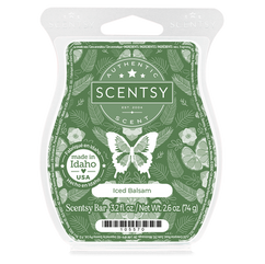 Scentsy December 2025 Warmer & Scent of the Month: