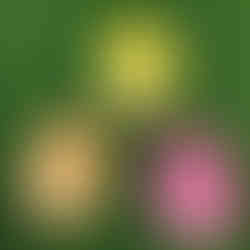 Scentsy Easter Collection 2025