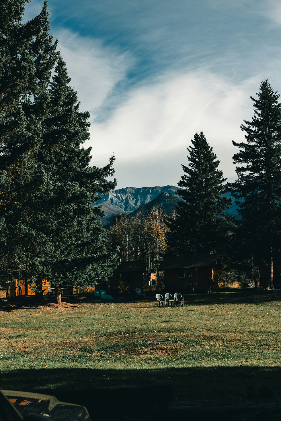 ali-kazal-PEdI8jbz8nk-unsplash (1).jpg