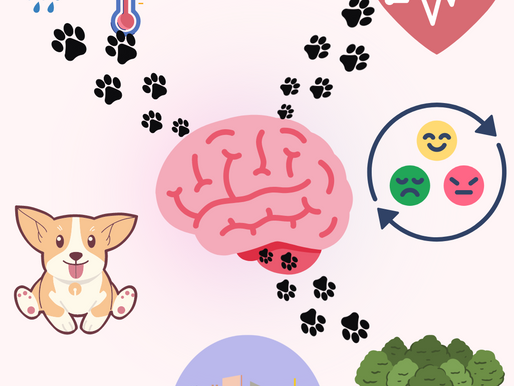 What determines how I arrange a course ?