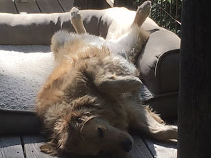 Renforcement et état émotionnel