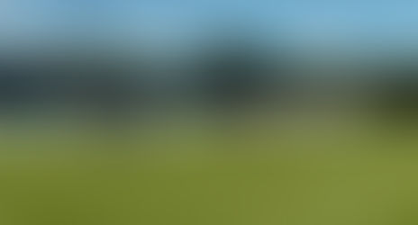 FEC anuncia dois importantes reforços
Vitor Flora e Paulo Matos já se apresentaram e vestem a camisa