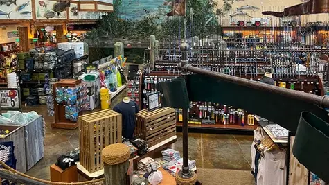 Together in Retail: How Fin Feather Fur and XSi Built a Stronger Future with LS Central