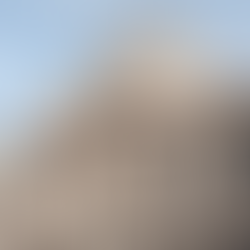 Universidad: Cogobierno en acción