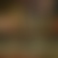 El futuro de la educaciónen disputa