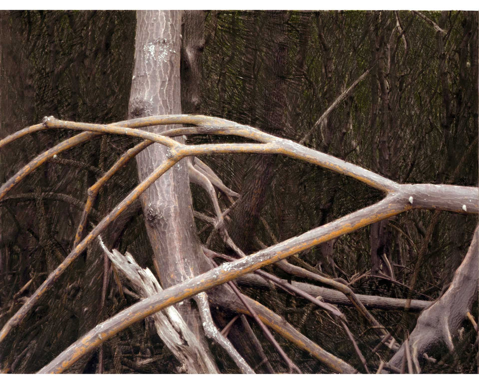 CORPO / PAISAGEM ou da possibilidade de um encontro
2017
Interferência s/ material fotográfico
20 x 30 cm