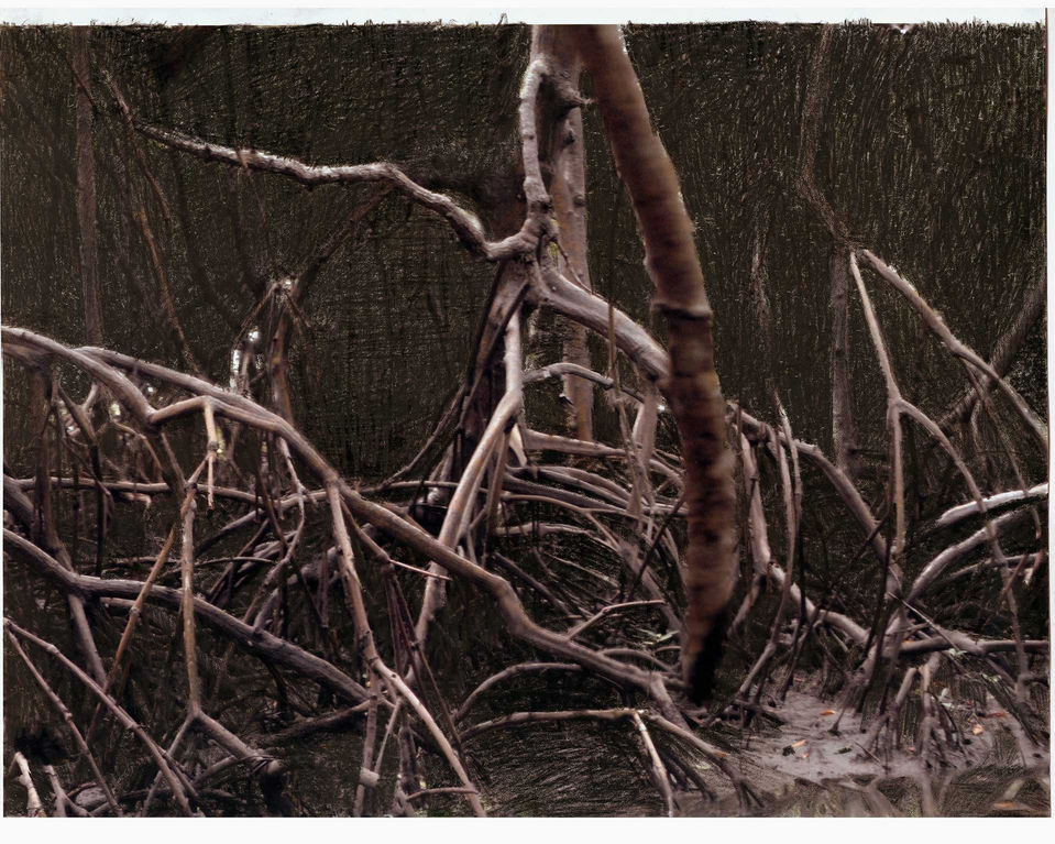 CORPO / PAISAGEM ou da possibilidade de um encontro
2017
Interferência s/ material fotográfico
20 x 30 cm