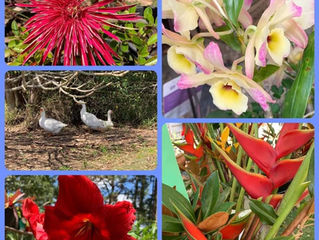 A Garden Party? What a splendid idea!