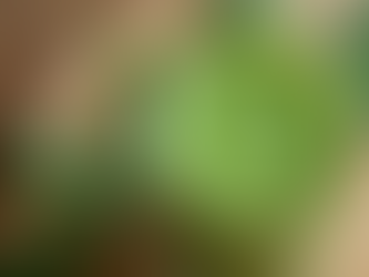 Top 5 Strategies for Optimal Health and Wellness