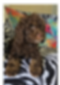 1000029783_edited.png