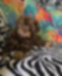 Screenshot_20250914_130019_Video Player.jpg