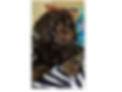 1000029759_edited.png