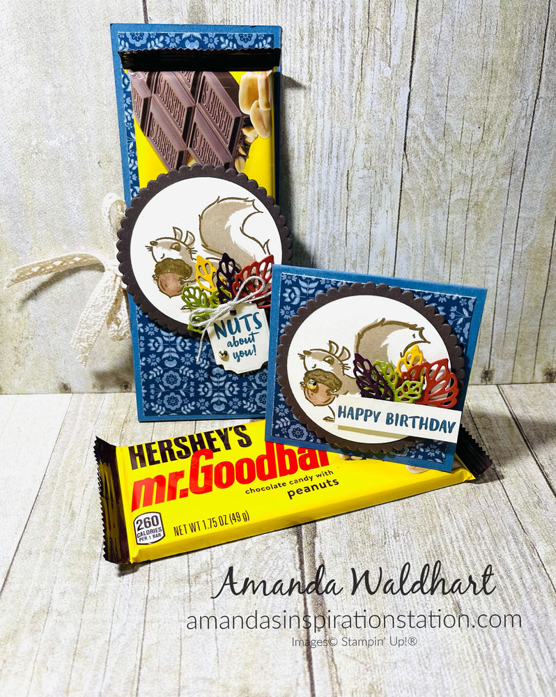 Weekly Wednesday Video Nuts About Squirrels Candy Bar Treat Holder