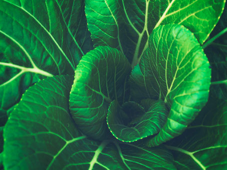 Mais cálcio que no leite