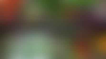 Cores para o dia a dia