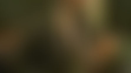 Мой давний и добрый друг Саша Замороко