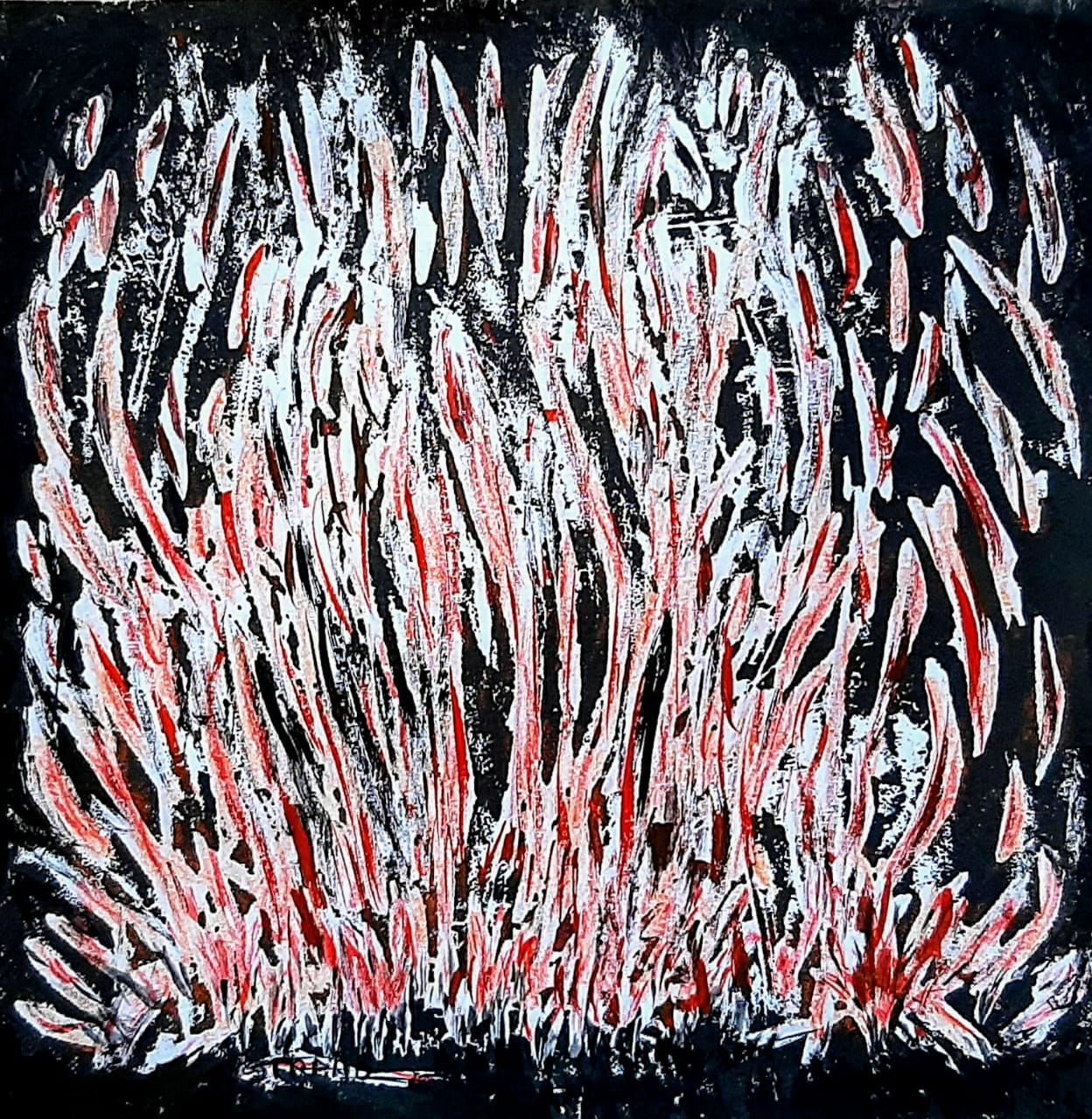 Queimada 29,7 x 42 cm