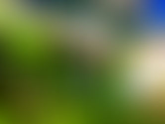 New Peppol EDGE offices