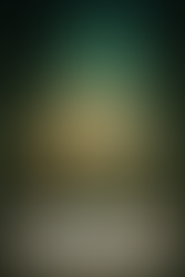 Who you gonna call ?