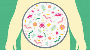 My big fat Greek wedding: how to face fatty situations.