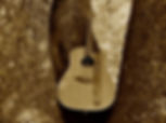Woolli_guitare_2troncs_sepia1.jpeg
