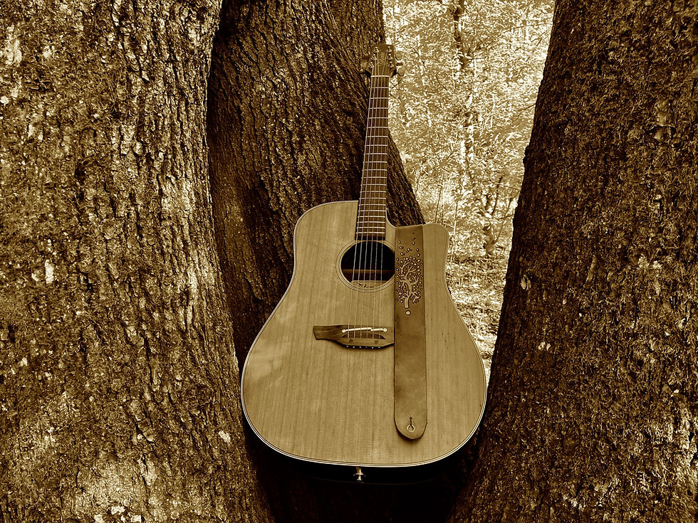 Woolli_guitare_2troncs_sepia1.jpeg