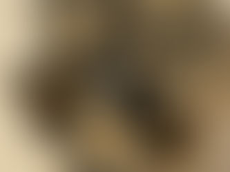 N°68 - Nuit Vénitienne